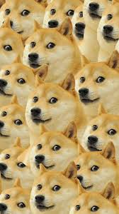 Easily add text to images or memes. Doge Meme Wallpapers Wallpaper Cave