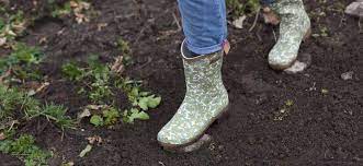 Das hier sind übrigens meine stiefel: Meine Ersten Gartenschritte Im Marz Garten Fraulein Der Garten Blog