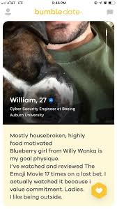 Here is a list of 144 cute instagram bio ideas along with cool examples and 67). Best Bumble Bios For Guys Girls Datingxp Co