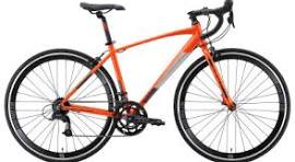 Stark Peloton 700.1 D (2024)