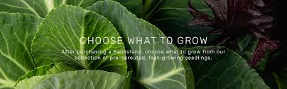 Check spelling or type a new query. Amazon Com Lettuce Grow 12 Plant Hydroponic System Hydroponic Growing System Vertical Garden Outdoor Indoor Herb Garden Bpa Free Food Grade Hydroponic Growing System For Herbs Veggies Greens 12 Plants Garden