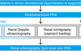 The kidneys play an important role in filtration of waste products from the blood. Chapter 12 Secondary Hypertension Hypertension Research