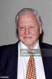 41 Photos & High Res Pictures