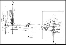 Maka izinkan lah kami dari web materibelajar.co.id akan membahas contoh soal penjas tingkat sekolah dasar. Https Nanopdf Com Download Biomekanika 2 Pdf