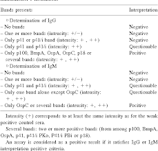 Table 1 From Utility Of A Commercial Immunoblot Kit Bag Borrelia Blot In The Diagnosis Of The Preliminary Stages Of Lyme Disease Semantic Scholar