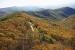 Shenandoah