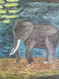 You can fix lines and shapes as you go until you're sure of the design you want. Chalk Art Elephant Peepsburgh