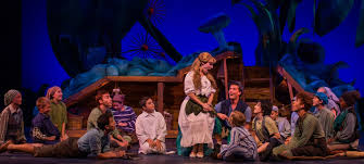Pin By Tricia Adams Pletcher On Dreaming In Color Peter Pan Musical Peter Pan Costumes Peter Pan