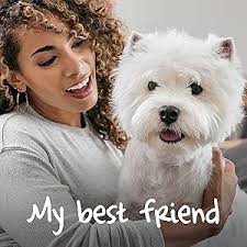 Cesar 7+ Wet Dog Food for Senior dogs, Meaty Selection in Jelly, 4 Trays (4  x 150 g) : Amazon.co.uk: Grocery