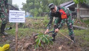 Jual bibit pohon durian musang king unggul online & offline. Dandim 1015 Sampit Tanam Pohon Durian Musang King Untuk Tingkatkan Perekonomian Masyarakat Di Lokasi Tmmd Beritakalteng Com