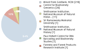 Image result for Coffea ligustroides