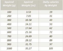 Squirrel Food Diet
