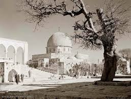 Bildergebnis für ‫صور فلسطينية قديمة‬‎