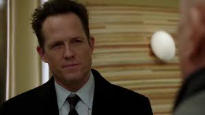 Law & Order: Special Victims Unit: Amaro's One-Eighty