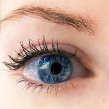 Factors to consider when buying best eyeliner for older women. I Had My Eyeliner Tattooed Into The Gloss