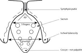 We did not find results for: Maternal Care 8b Vaginal Examination In Labour