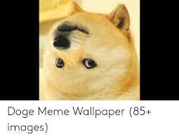 Apr 14, 2021 · tweet with a location. Doge Meme Wallpaper 85 Images Doge Meme On Me Me