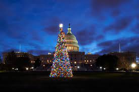 Denver Capital Christmas 2022 When To Get Covid-19 Vaccine Shots In Colorado In Time For The Holidays -  Colorado Newsline