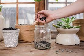 How To Plant In A Pot Without Drainage Holes Magnolia