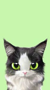 Greene Eyes Kitten Wallpaper Petit Chaton Aux Yeux Vert Fond D Ecran Pour Telephone Monchatdore Milye Kotiki Multiplikacionnye Koshki Oboi S Zhivotnymi