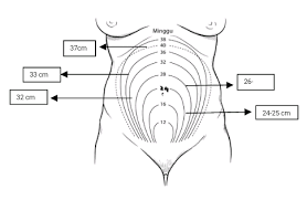 11 cara kira pergerakan bayi dalam kandungan yang betul jangan culas. Http Eprints Umpo Ac Id 4050 3 Bab 20ii Pdf