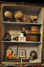 Nautilus Turin Cabinet Of Curiosities Collections Of Objects Decor