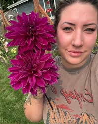 Safeway garlic bulb growth comparison