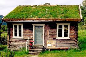 Bativeget O Alsace Toiture Vegetale Jardin Sur Toit Toit Vert Bativeget O Entrerpise Mur Vegetalise Toiture Ve Toiture Verte Toit Vert Toiture Vegetale