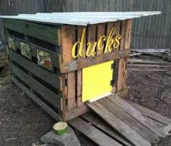 I plan on trying to build a duck house similar to yours! How To Build A Duck House From Scrap