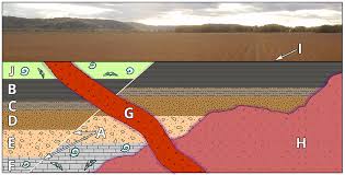 This technique helps determine the relative age of the remains. Geologic Time Historical Geology