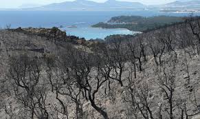 Het land heeft bovendien 750 brandweerlieden ingezet om de brand te bestrijden. Zo Ligt Cote D Azur Erbij Na Dagenlange Bosbranden Foto S Ew
