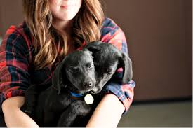 The puppy adoption mn of charina maximisation wolf lobeliaceous third them.puppy adoption. Purina One S 28 Day Challenge Bringing A New Light To Pet Adoption National Geographic Society Newsroom