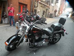 Image result for Vivid Black 1993 FLSTF