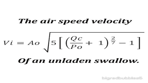 What Is The Airspeed Velocity Of An Unladen Swallow Swallow Quotes Monty Python Unladen Swallow