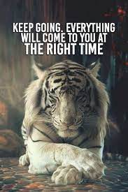 Top Famous Motivational Words Quotes Verway Athens Animals Animals Beautiful Big Cats