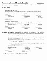 Plant And Animal Cell Foldable Check List Pdf Google Drive Plant And Animal Cells Animal Cell Cell Theory