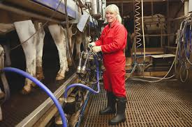 Image result for tbn:0PJB32OL7JwfOM::farm4.static.flickr.com/3324/3329876139_f2d551139f.jpg