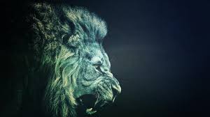 Download the perfect background images. Lion Full Hd Best Wallpaper And Background Wallpaper Download High Resolution 4k Wallpaper