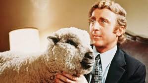 Gene Wilder's Best Movies Of All Time