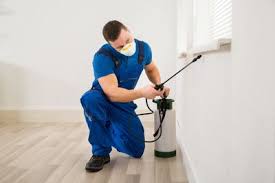 Exceed pest management services pvt. Adofix Pest Control In Navi Mumbai With 90 Days Warranty Bed Bugs Control In Navi Mumbai Pest Control Navi Mumbai Adofix