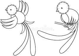 We did not find results for: Coloring Page Tropical Stock Illustrations 6 735 Coloring Page Tropical Stock Illustrations Vectors Clipart Dreamstime