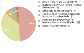 Image result for Fadogia tomentosa