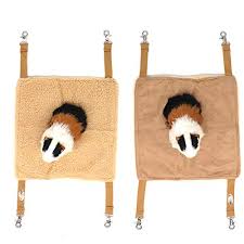 10 Best Guinea Pig Hammocks Their Reviews Updated 2021