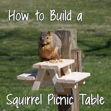 Runs For Cookies How To Build A Squirrel Picnic Table How I Built One Anyway In 2020 Diy Wooden Projects Diy Picnic Table Picnic Table Plans