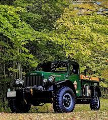 Image result for Green 1956 Truck
