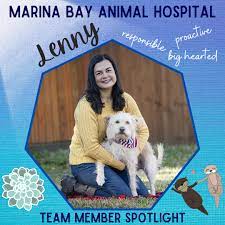 Our services and facilities are designed to assist in routine preventive care for young, healthy pets. Marina Bay Animal Hospital Home Facebook