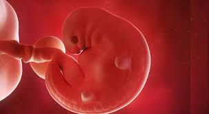 تاريخ الجدول الصيني الأصلي للحمل 2021. Ø£Ù‡Ù… Ø¹Ù„Ø§Ù…Ø§Øª Ø§Ù„Ø£Ø³Ø¨ÙˆØ¹ Ø§Ù„Ø³Ø§Ø¯Ø³ Ù…Ù† Ø§Ù„Ø­Ù…Ù„ ÙˆÙŠØ¨ Ø·Ø¨