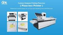 Best Digital Single Pass Pizza Box Printing Machine | AP200-OnePas800