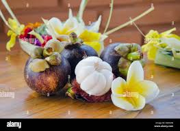 Image result for Garcinia mangostana