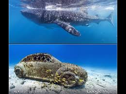 You can drift dive maui's molokini crater, or snorkel oahu's famous hanauma bay. Google Adds New Locations To Its Underwater Street View Imagery Technology News